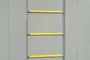 Ladder rung covers